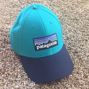 Patagonia stretch fitted hat